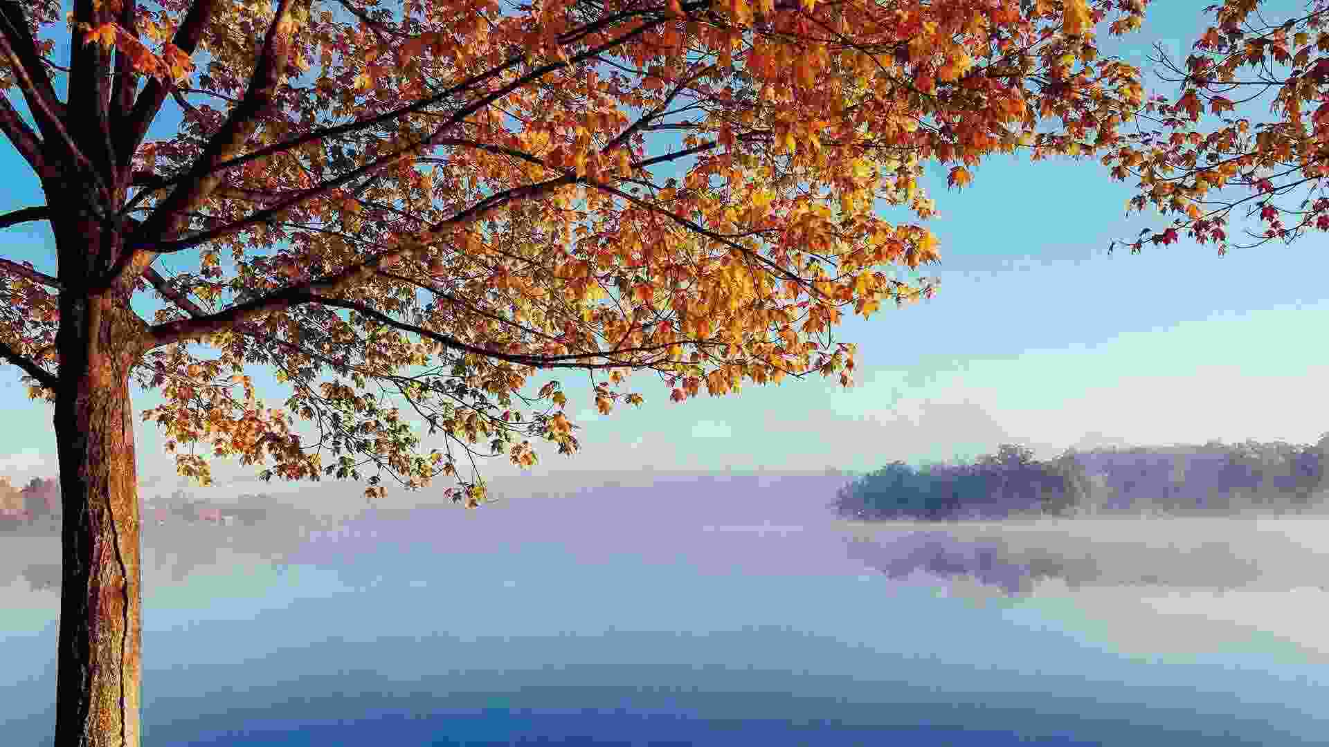 banner1